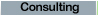 Business Consulting